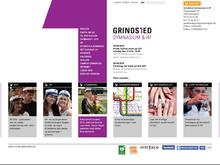 Grindsted Gymnasium og HF-Kursus